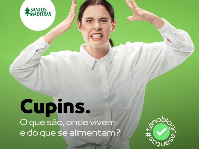 CUPIM: Como se proteger dessa&nbsp;praga