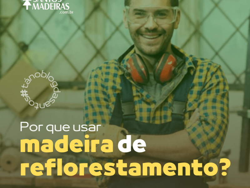 Por que usar madeiras de reflorestamento?